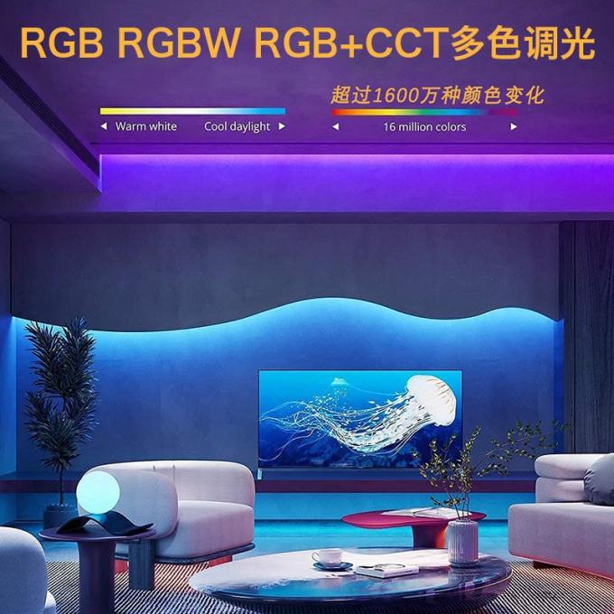 상업용 마법 COB LED 스트립 꿈 풀 컬러 DC 24V 주소 5